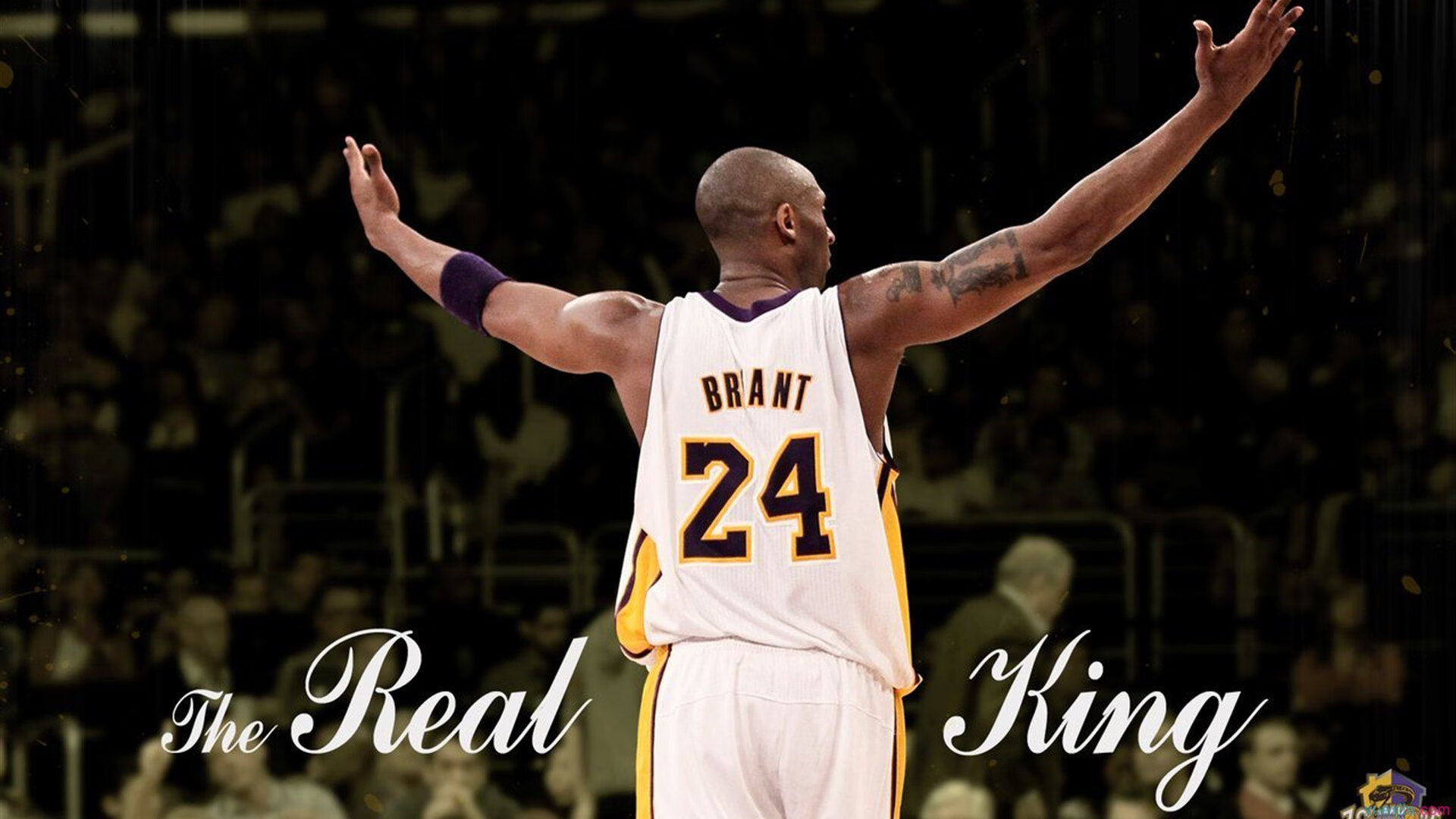 冷月之下,欧文亮剑,年度焦点战的终场绝响